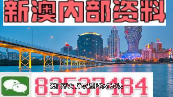 新澳门资料全年免费精准,准确资料解释落实_9DM81.810