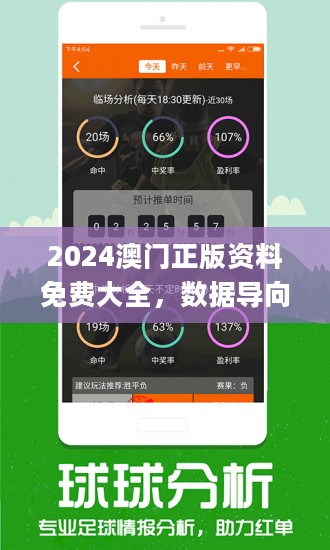 澳门今晚上必开一肖,深层数据分析执行_特别款60.28