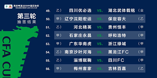 新澳2024年精准资料220期,持久性执行策略_升级版25.673