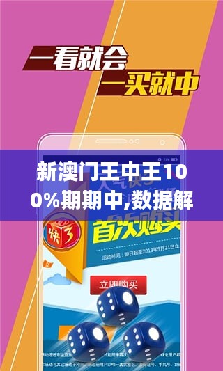 澳门王中王100%期期中,确保成语解释落实的问题_入门版82.327